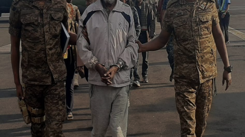 Desinformation über Tigray: Die Herstellung von Zustimmung für einen sezessionistischen Krieg